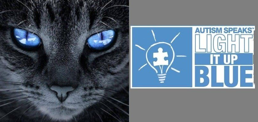 katten en autisme